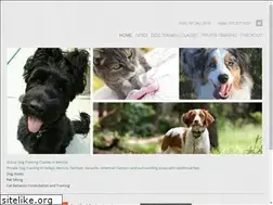 Sites similar to doggydetail.com