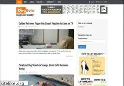 Sites similar to dogheirs.com