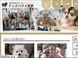 Sites similar to doghouse-aimu.com