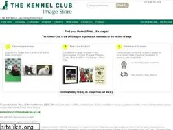 Sites similar to dogimages.org.uk