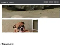 Sites similar to dogjaipur.com