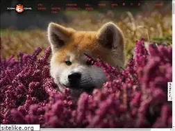 Sites similar to dogmakennel.com