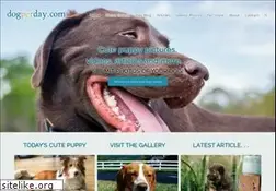 Sites similar to dogperday.com