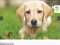 Sites similar to dogpetshopinjaipur.com