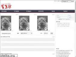 Sites similar to dogsa.co.kr