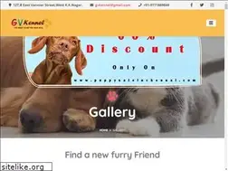 Sites similar to dogsaleinchennai.com