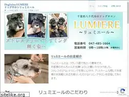 Sites similar to dogsalon-lumiere.com