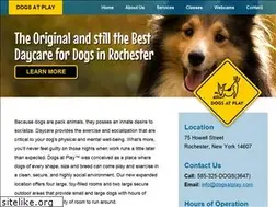 Sites similar to dogsatplay.com