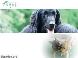 Sites similar to dogschool-hagiwara.com