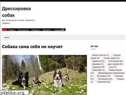 Sites similar to dogschool.ru