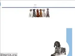 Sites similar to dogsclub.co.il