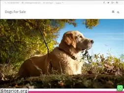 Sites similar to dogsforsale.co.in