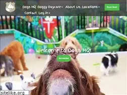 Sites similar to dogshq.com.au