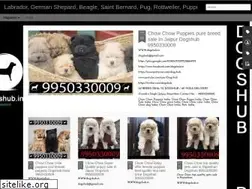 Sites similar to dogshub.blogspot.com