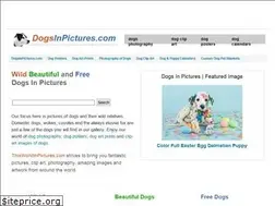 Sites similar to dogsinpictures.com
