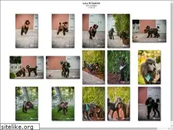 Sites similar to dogslifephotography.com