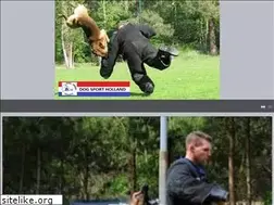 Sites similar to dogsportholland.nl