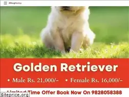 Sites similar to dogsshop.in