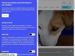 Sites similar to dogstarfoundation.com