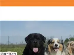 Sites similar to dogtalesdaycare.com
