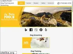 Sites similar to dogtrainerbrooklyn.com