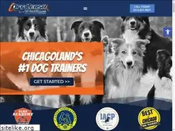 Sites similar to dogtrainerschicago.com
