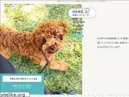 Sites similar to dogtraining-home.com