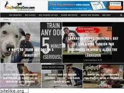 Sites similar to dogtraininggear.com