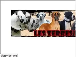 Sites similar to dogue-allemand.ch