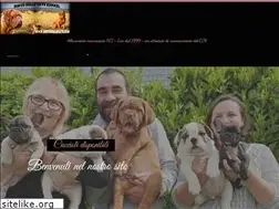 Sites similar to doguedellecave.com