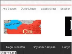 Sites similar to doguturkistanbulteni.net