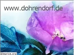 Sites similar to dohrendorf.de