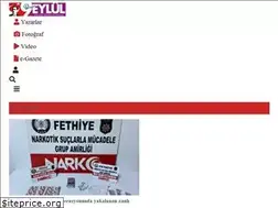 Sites similar to dokuzeylul.com
