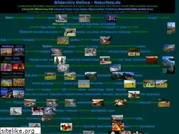 Sites similar to doliwa-naturfoto.de
