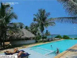 Sites similar to dolphinbeach.lk