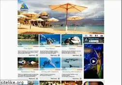Sites similar to dolphinreef.co.il