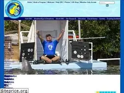 Sites similar to dolphins.org