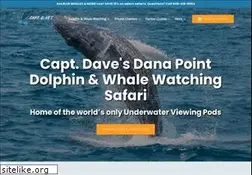 Sites similar to dolphinsafari.com
