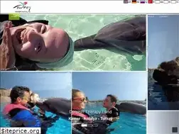 Sites similar to dolphintherapyland.com