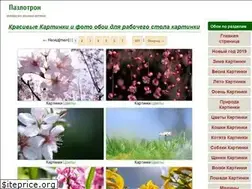 Sites similar to dom-cvety.com