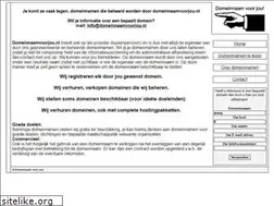 Sites similar to domeinnaamvoorjou.nl
