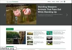 Sites similar to domesticatedcompanion.com