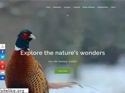 Sites similar to domesticforest.com