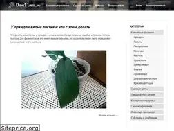 Sites similar to domfloris.ru