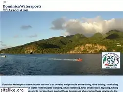 Sites similar to dominicawatersports.com