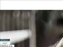 Sites similar to dominikaumer.de