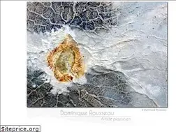 Sites similar to dominiquerousseau.com