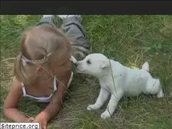 Sites similar to donaldsonanimalhospital.com