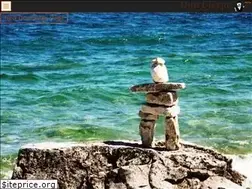 Sites similar to doncierge.com