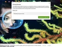 Sites similar to dondebucear.com
